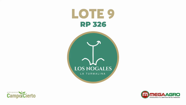 Lote LOS NOGALES