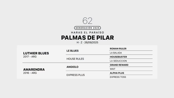 Lote PALMAS DE PILAR