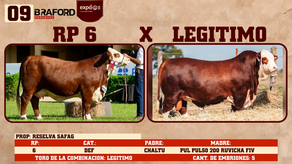 Lote LOTE 9