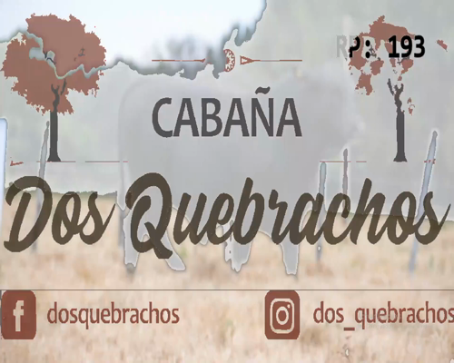 Lote DOS QUEBRACHO 193