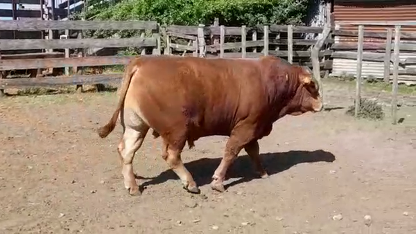 Lote LA ESPERANZA 62