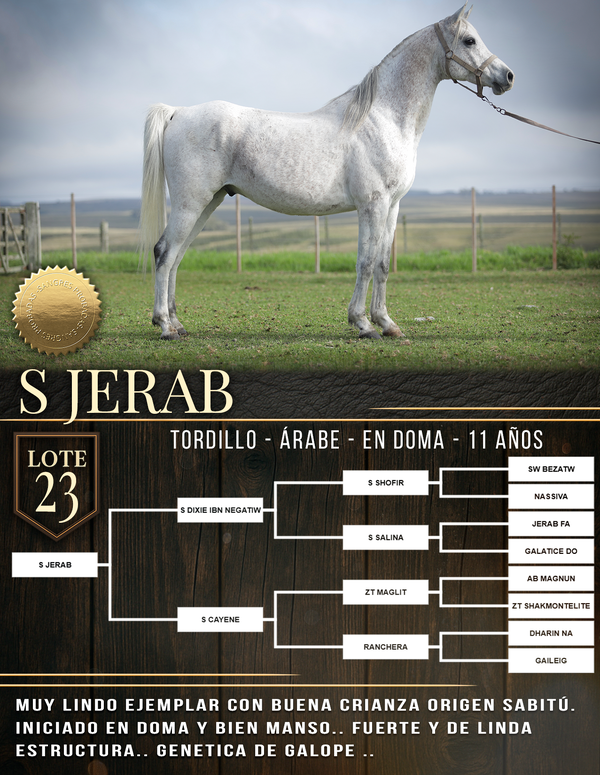 Lote S JERAB