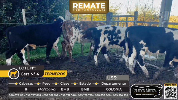 Lote 8 Terneros en Tarariras, Colonia