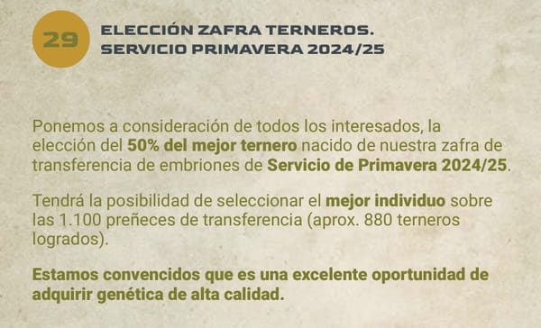 Lote LOTE 29