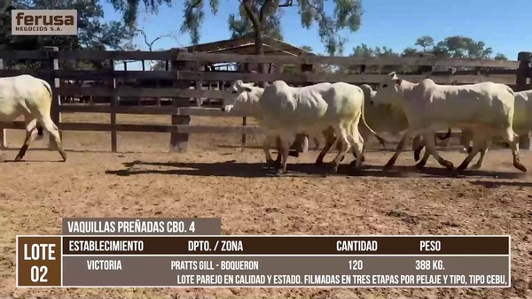 Lote LOTE 2