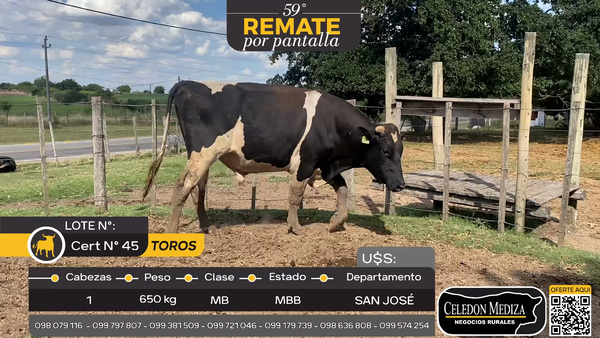 Lote 1 Toros en San José , San José