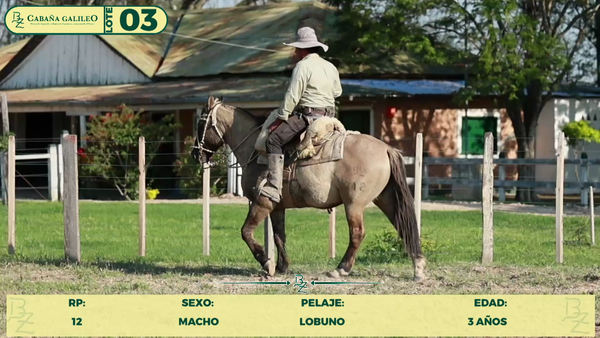 Lote LOTE 3