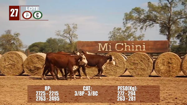 Lote Lote 27