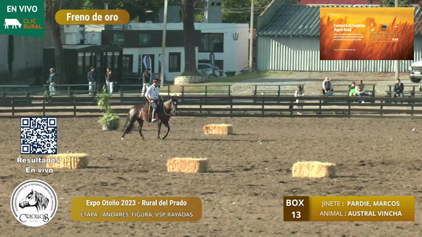 Lote AUSTRAL VINCHA - SIERRA AUSTRAL S.A