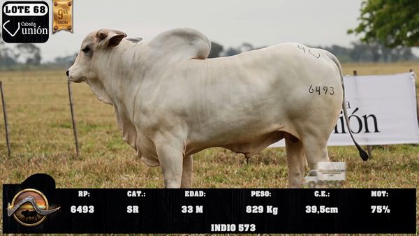 Lote LOTE 68