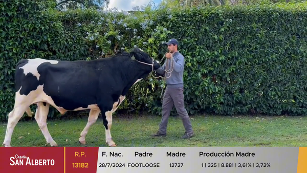 Lote Toros, Canelones