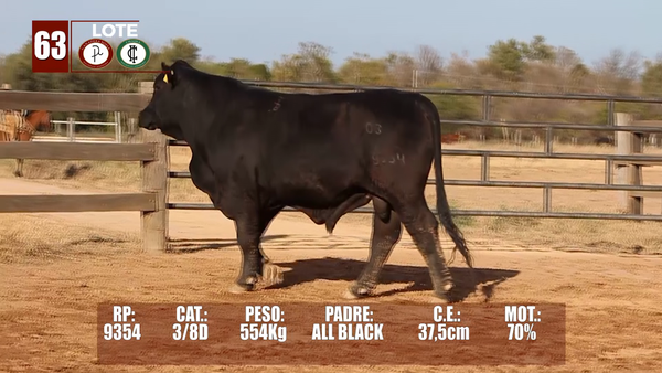 Lote Lote 63