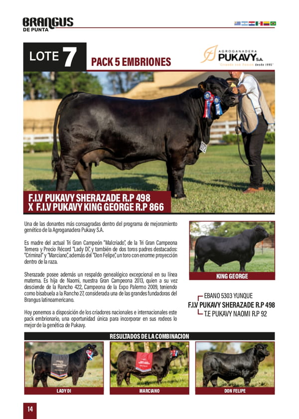 Lote PACK 5 EMBRIONES F.I.Y PUKAYY SHERAZADE R.P 498 X F.I.Y PUKAYY KING GEORGE R.P 866