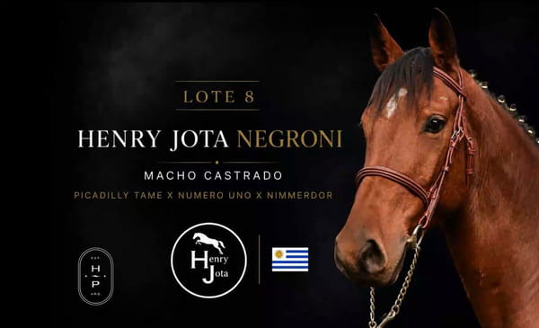 Lote HENRY JOTA NEGRONI