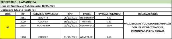 Lote Lote 64 La amanecida