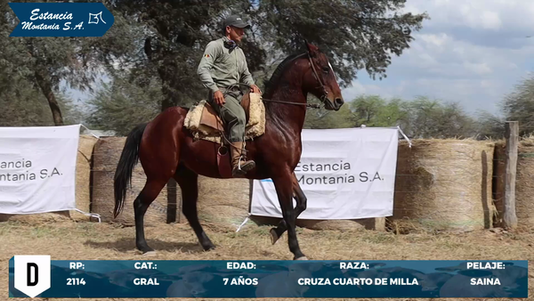 Lote LOTE D