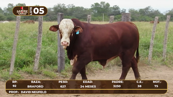 Lote Lote 5