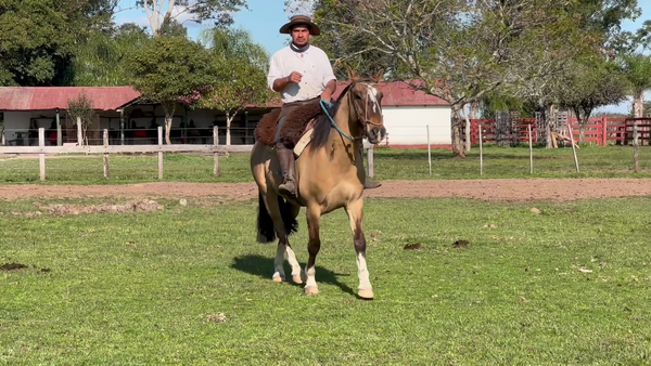 Lote 1 Montados en Corrientes, Curuzu Cuatia