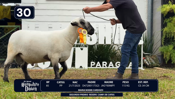 Lote LOTE 30