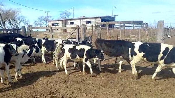 Lote Leandro Nisnovich