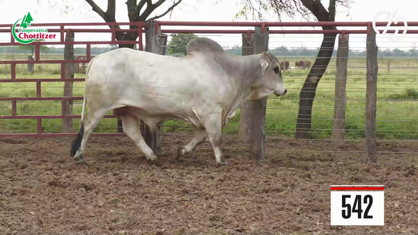 Lote Brahman