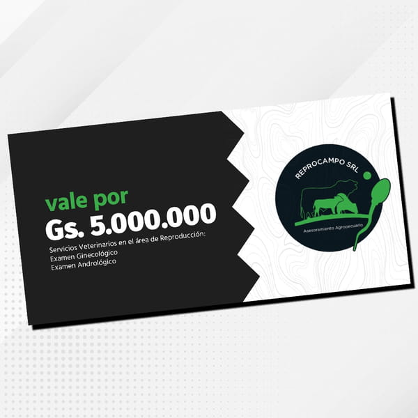Lote SERVICIO VETERINARIO