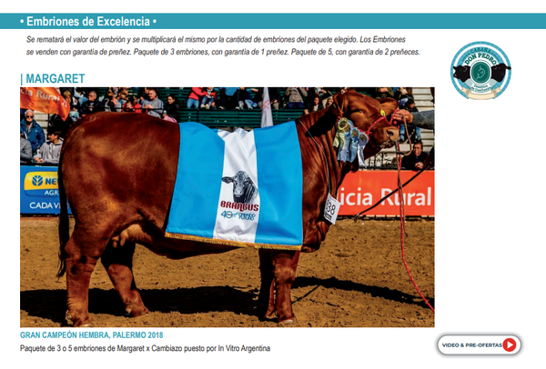 Lote Embrión de Excelencia  -  Don Pedro