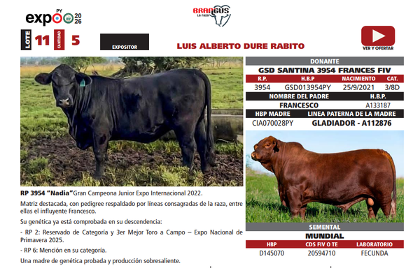 Lote LOTE 11