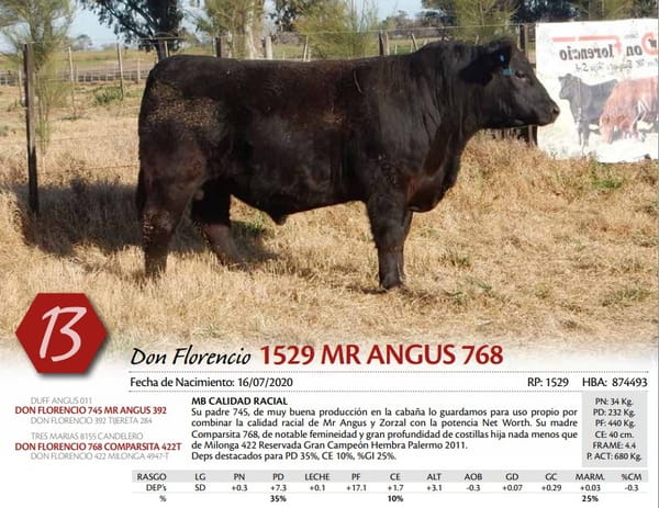 Lote TORO