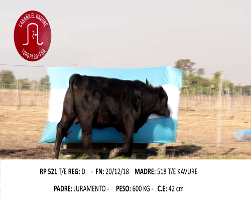 Lote KAVURE 521