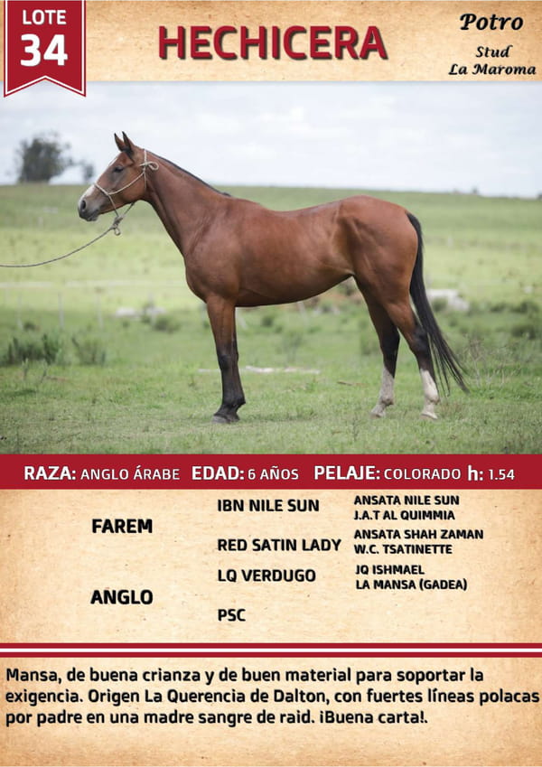 Lote HECHICERA