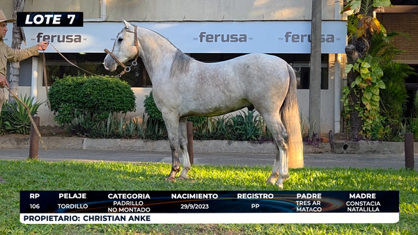Lote LOTE 7- DE BOZAL
