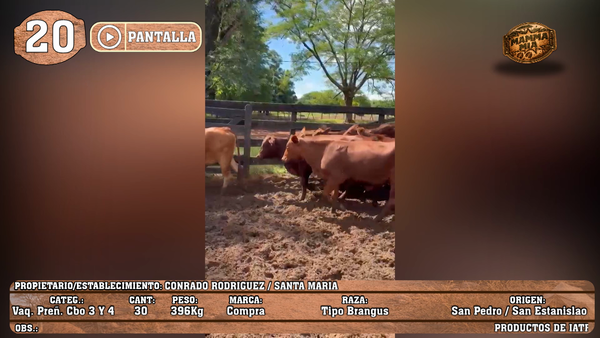Lote LOTE 20 - POR PANTALLA