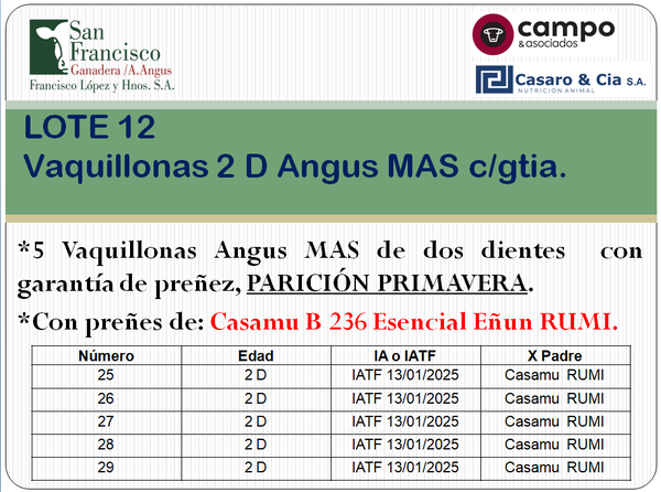 Lote 5 Vaquillonas Angus MaS con garantía de preñez, al parir. San Francisco