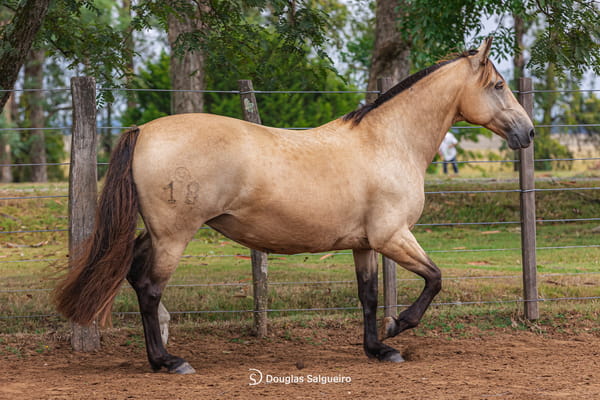 Lote LA SERENA COLINA BLANCA