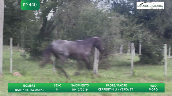 Lote BARRA EL TACUARAL