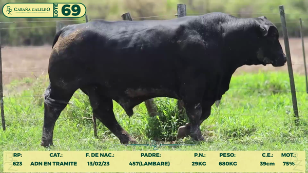 Lote LOTE 69