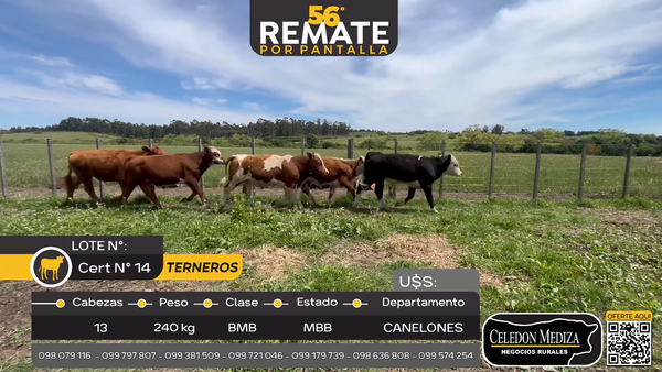 Lote 13 Terneros en Otra Localidad, Canelones