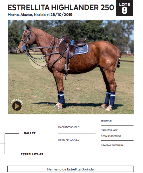 Lote LOTE 8