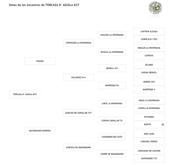 Lote Cabaña "El Aguila" - RP 837 - Torcaza D'aguila