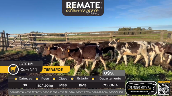 Lote 16 Terneros  en San Pedro, Colonia