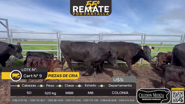 Lote 50 Piezas de cría en Ombúes Lavalle, Colonia