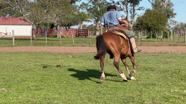 Lote 1 Montados en Corrientes, Curuzú-Cuatiá