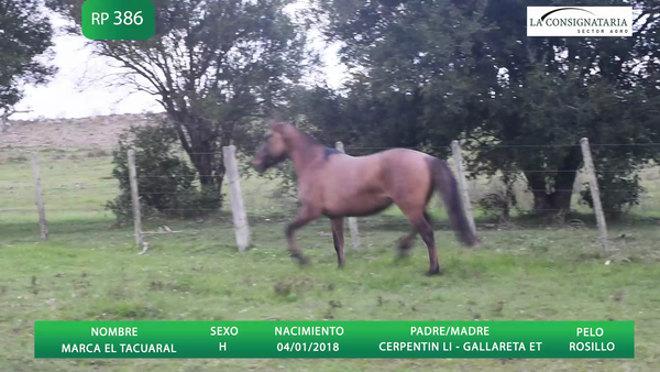 Lote MARCA EL TACUARAL