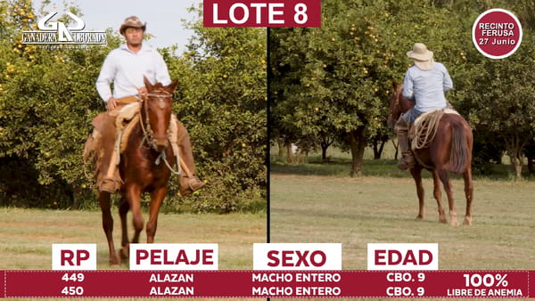 Lote Reproductores de Alborada - Lote 08