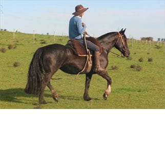 Lote DESTERRADA DEL CONVENTOS