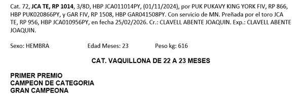 Lote LOTE 40 - DE BOZAL