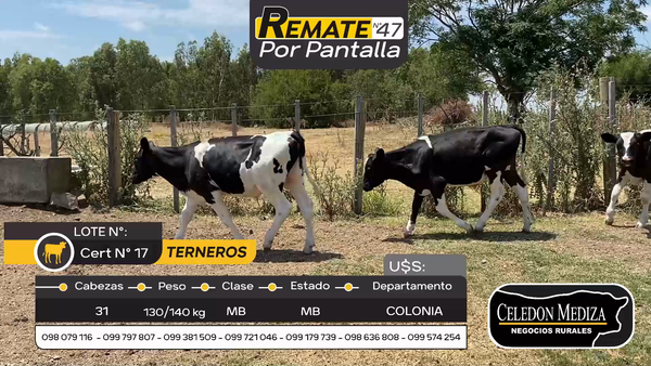 Lote 31 Terneros en Otra Localidad, Colonia