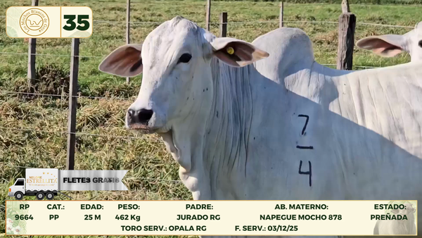 Lote LOTE 35