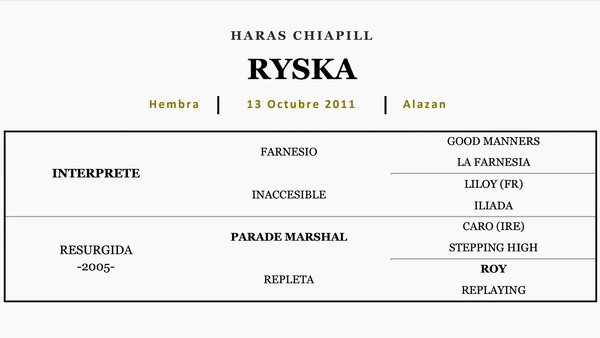 Lote RYSKA (INTERPRETE - RESURGIDA)